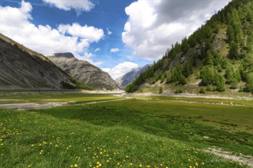 Lago di Livigno montagna in primavera Valtellina foto Alberto Silva